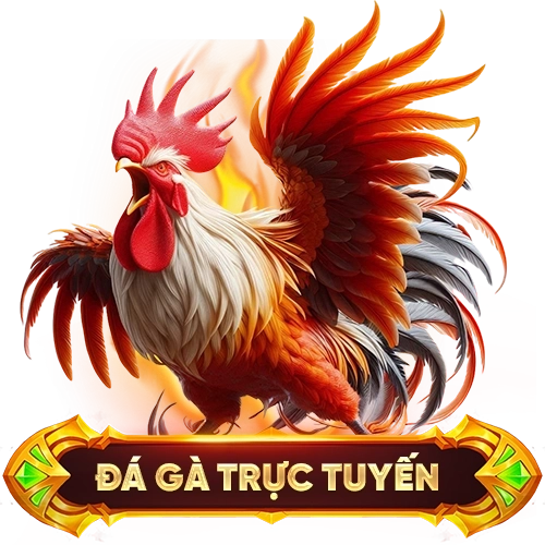 đá gà trực tuyến XO88